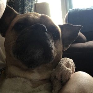 Meet your Posher, Rayle